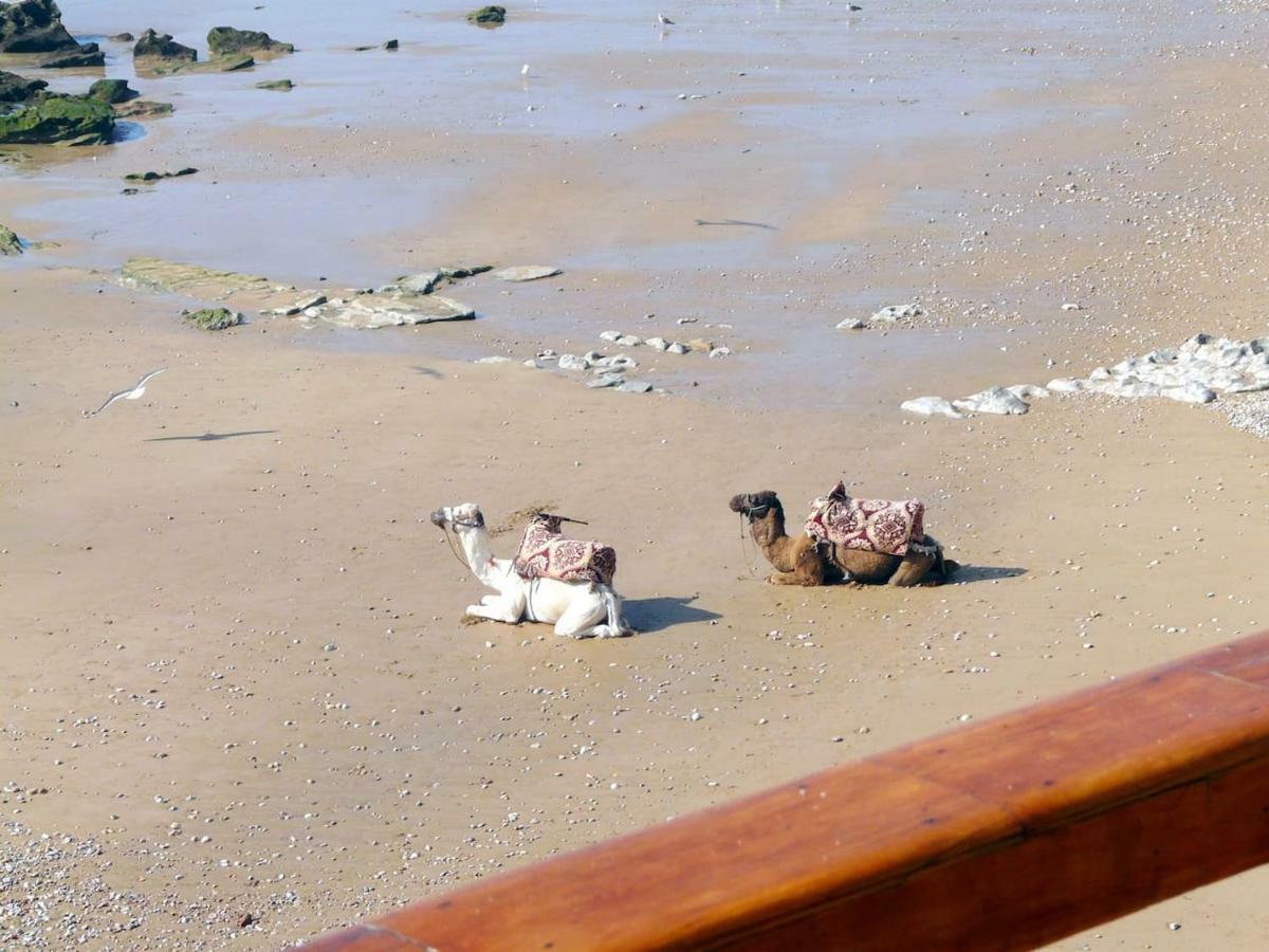 Taghazout Playa Lejlighed Eksteriør billede